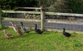 Valley Lodge