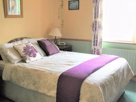O'Connor's Guesthouse