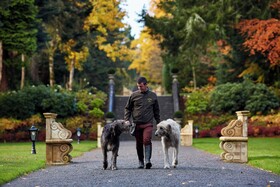 Ashford Castle Hotel & Country Estate