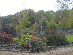 Ashford Haven B&B