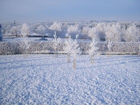 Ashford Haven B&B