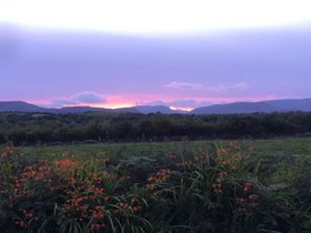 Hill View Farm