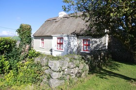 Hill View Farm