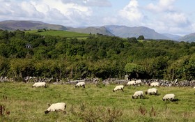 Hill View Farm