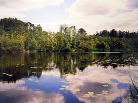 Riverside B&B