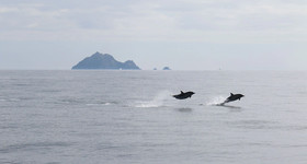 Great Blasket Island Accommodation