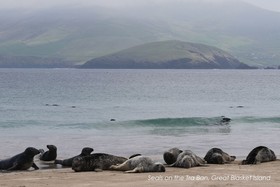 Great Blasket Island Accommodation