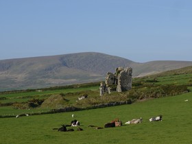 Moriarty Farmhouse B&B