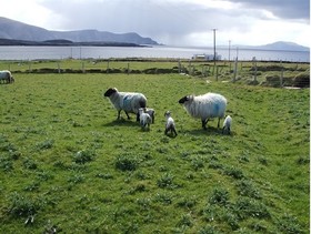 Achill West Coast House B&B