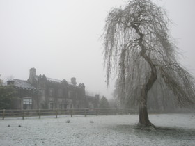 Newpark House