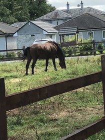 Kilcloon Cottages