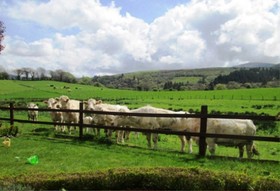 Ardtully Farmhouse