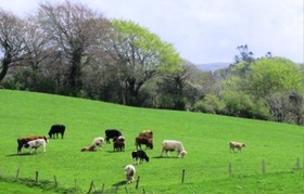 Ardtully Farmhouse