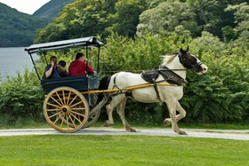 Eviston House Hotel