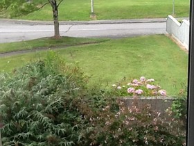 Parkfield Bed & Breakfast