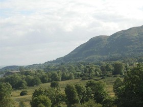 Bluebell House B&B