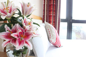 The Pier Hotel Limerick