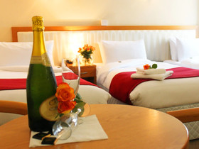 The Pier Hotel Limerick
