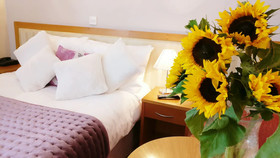 The Pier Hotel Limerick