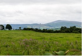 Abbey View B&B