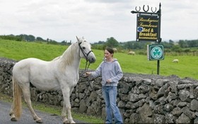 Beechgrove Farmhouse Bed and Breakfast
