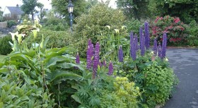 Riverwalk House B&B