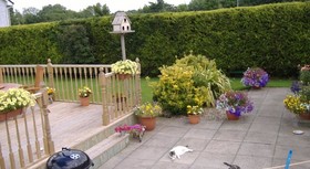 Riverwalk House B&B