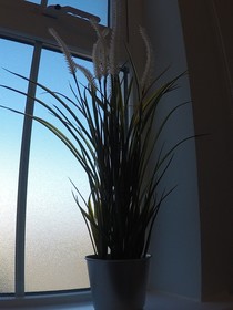 Seagull Cottage BnB