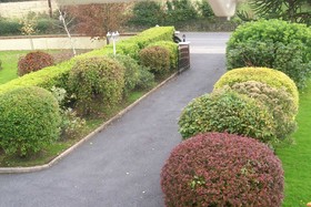 Suncrest B&B