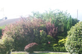 Suncrest B&B