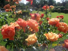 Suncrest B&B