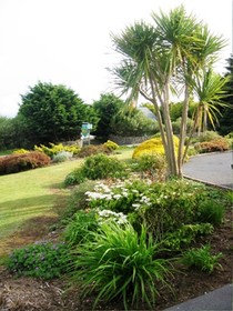 Briseadh Na Carraige