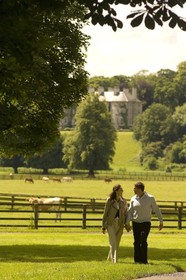 Mount Juliet Estate
