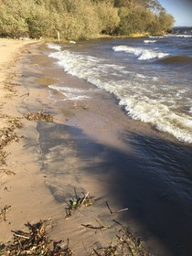 Carraigin Ban