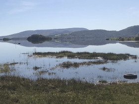 Carraigin Ban