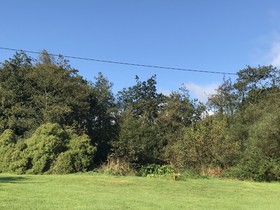 Carraigin Ban