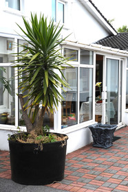 Whitelodge Bed and Breakfast