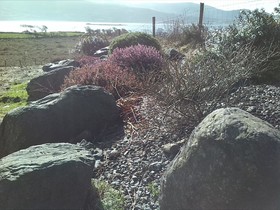 Currane Lodge Bed and Breakfast