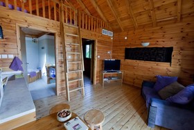 Belfer's Dead Sea Cabins