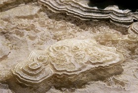 Belfer's Dead Sea Cabins