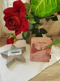 Little Prince Hostel