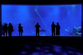 Royal Park Resort Apartments by Sea N' Rent