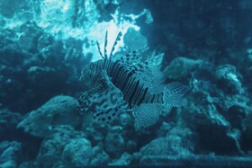 Royal Park Resort Apartments by Sea N' Rent