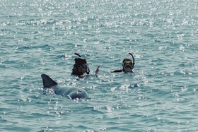 Royal Park Resort Apartments by Sea N' Rent