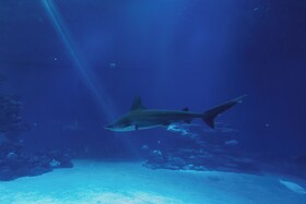 Royal Park Resort Apartments by Sea N' Rent