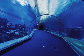 Royal Park Resort Apartments by Sea N' Rent