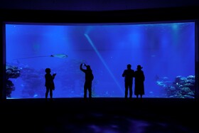 Royal Park Resort Apartments by Sea N' Rent