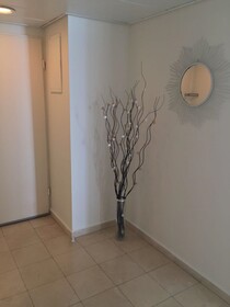 Almog Building