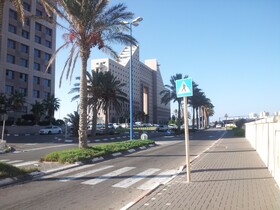 Almog Building