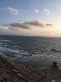 Almog Building